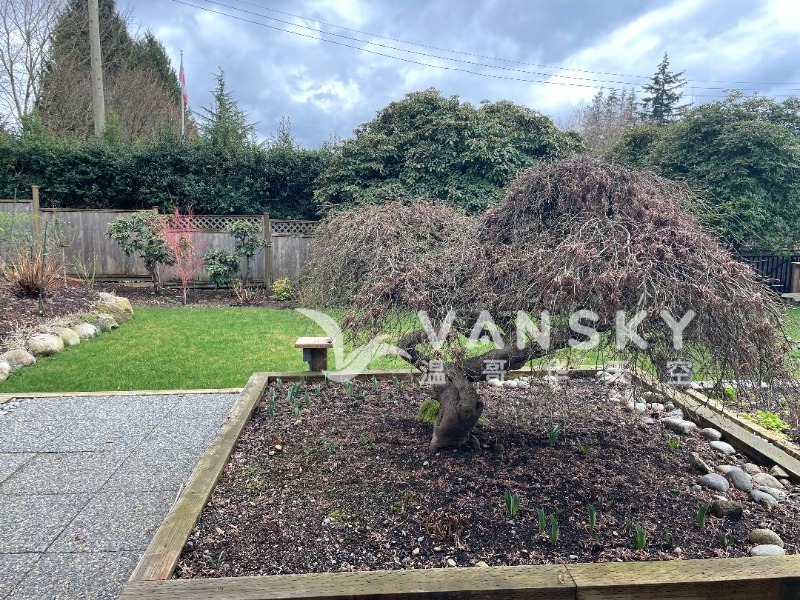 250305230908_125 carisbrook 2.jpg